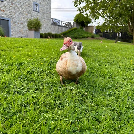 Σπίτι διακοπών La De Lulu Jalhay