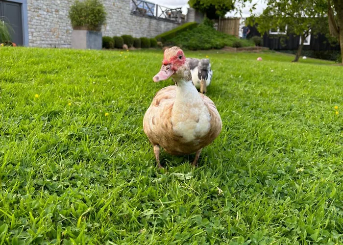 Holiday home La De Lulu Jalhay